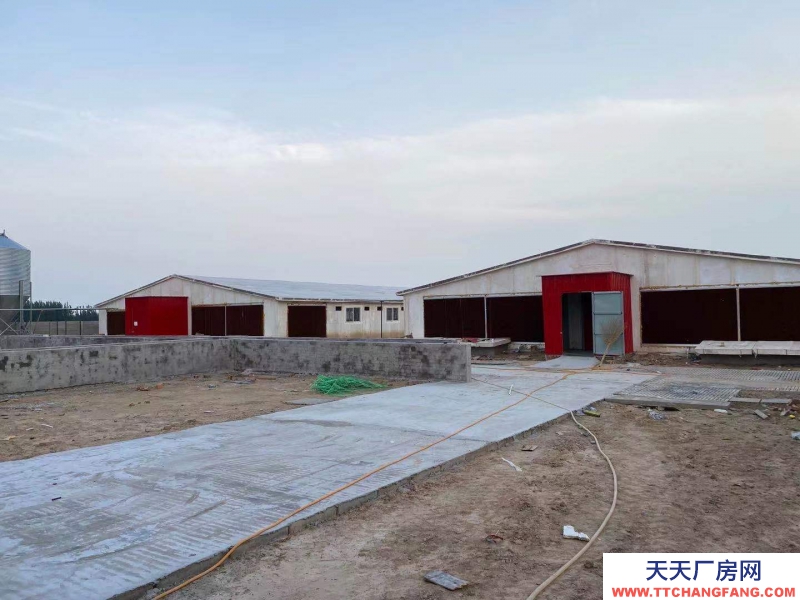 邢臺(tái) 廣宗  (出租) 自建養(yǎng)豬場(chǎng)，可容納1800頭肥豬歡迎老板咨詢