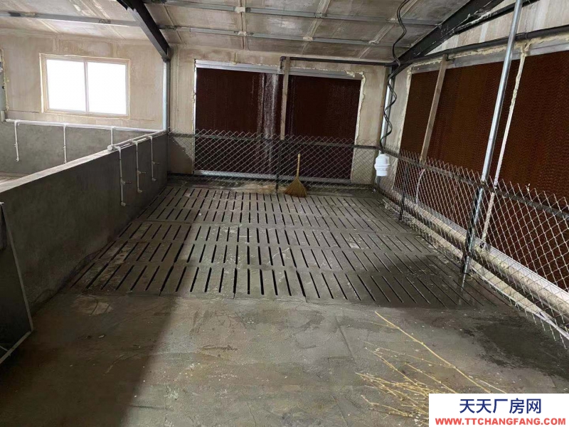 邢臺 廣宗  (出租) 自建養(yǎng)豬場，可容納1800頭肥豬歡迎老板咨詢