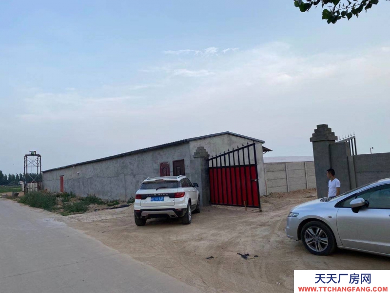 邢臺(tái) 廣宗  (出租) 自建養(yǎng)豬場(chǎng)，可容納1800頭肥豬歡迎老板咨詢