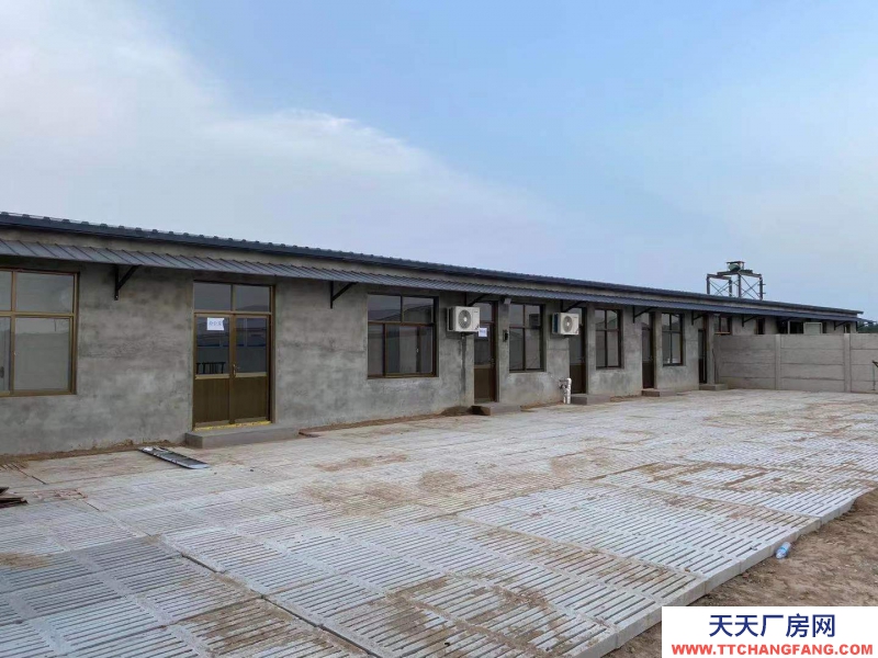 邢臺(tái) 廣宗  (出租) 自建養(yǎng)豬場(chǎng)，可容納1800頭肥豬歡迎老板咨詢