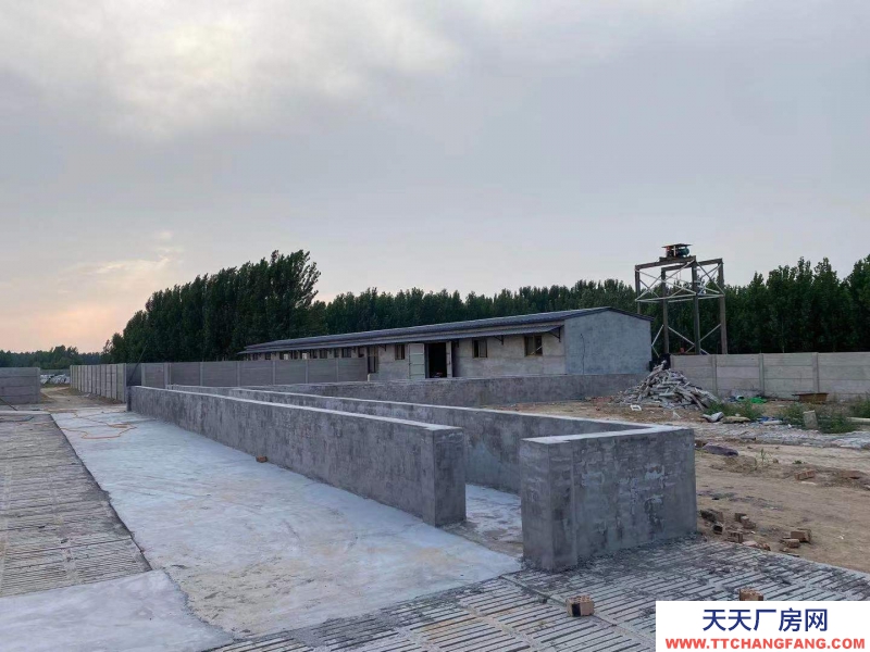 邢臺(tái) 廣宗  (出租) 自建養(yǎng)豬場(chǎng)，可容納1800頭肥豬歡迎老板咨詢