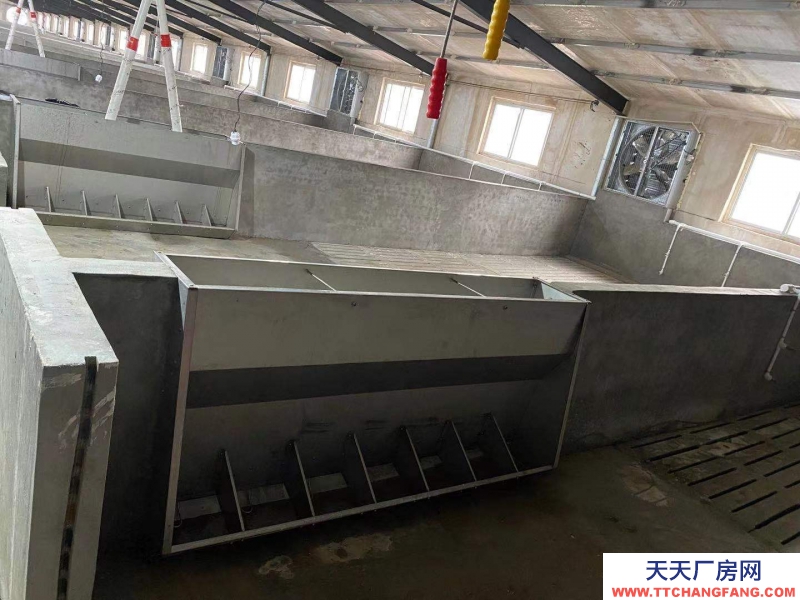 邢臺(tái) 廣宗  (出租) 自建養(yǎng)豬場(chǎng)，可容納1800頭肥豬歡迎老板咨詢