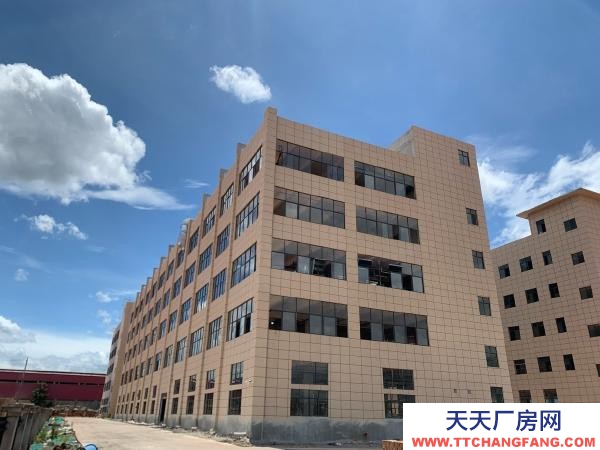 永州市藍山調味料廠房 共五層，在層，，