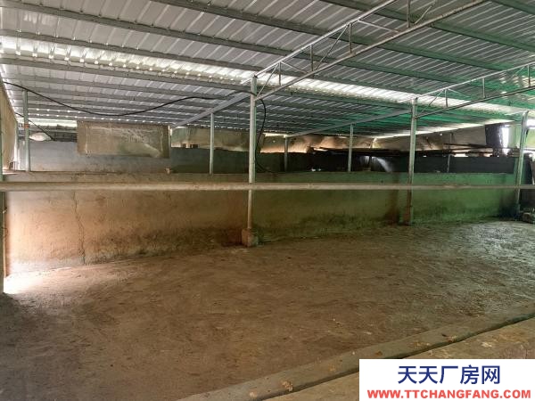 永州市雙牌養殖廠房 適合畜牧業養殖，牛羊雞鴨豬