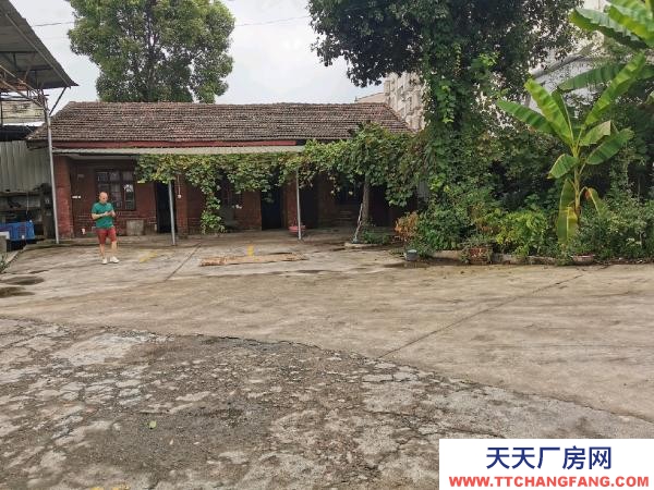 婁底市婁星物資倉庫 獨立院落，環境雅靜，周邊無民居