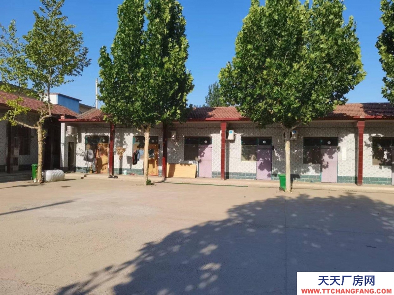 邢臺 威縣 (出租) 大廣高速下道口附近精裝大院出租