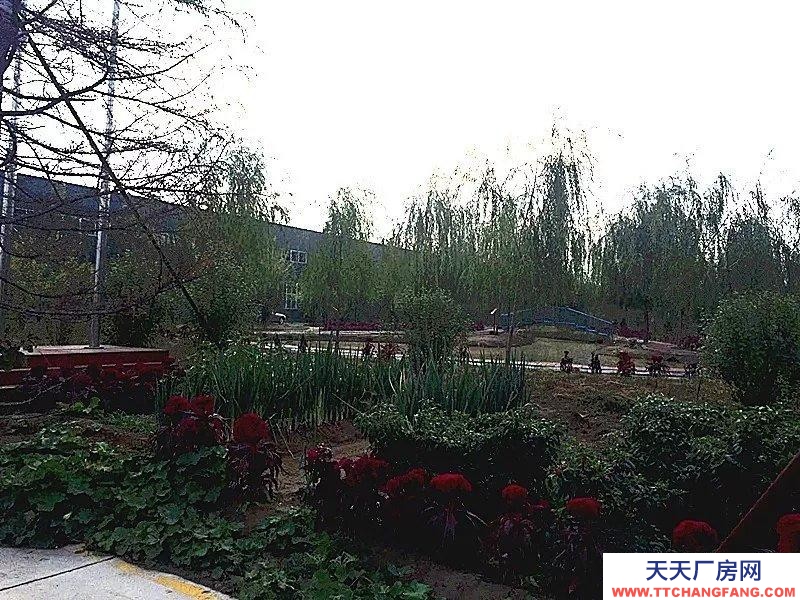 (出租) 威縣開發(fā)區(qū)廠房4萬平，水電齊全，交通便利，可整租，也可分租。