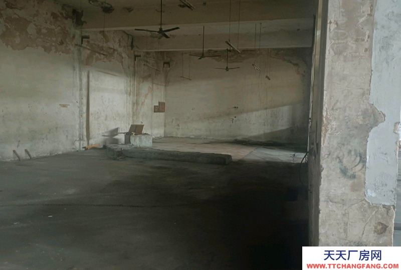 邢臺 清河 (出租) 小屯龍飛保健食品園西1000米路南