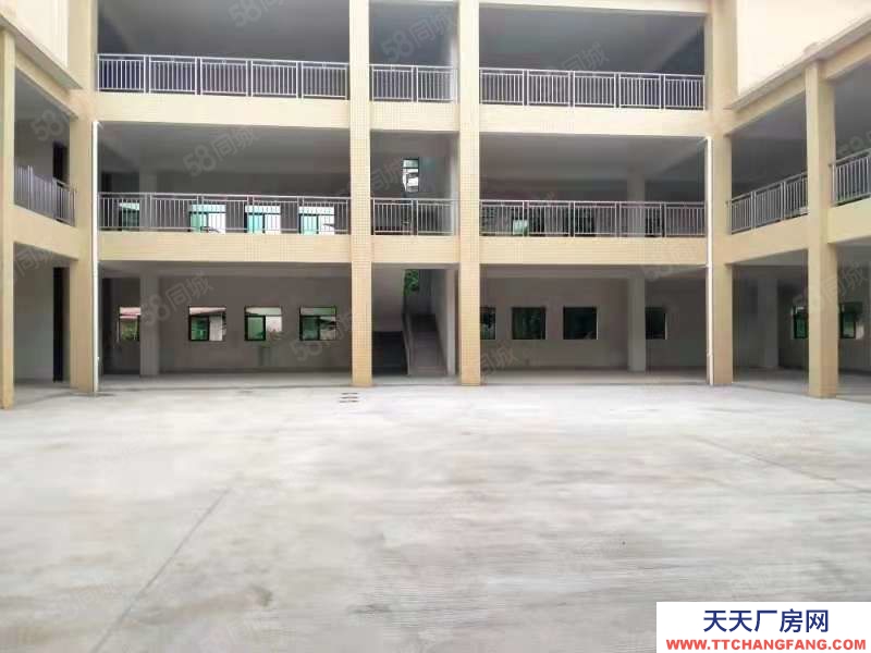 (出租) 梅州梅縣全新格局！適合培訓機構，院等！新縣城3000平廠房