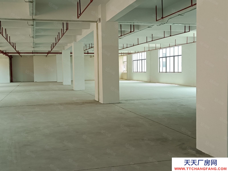 (出租) 梅州梅縣電子廠服裝玩具廠等1000平方，有辦公住宿帶貨梯九米六可進！