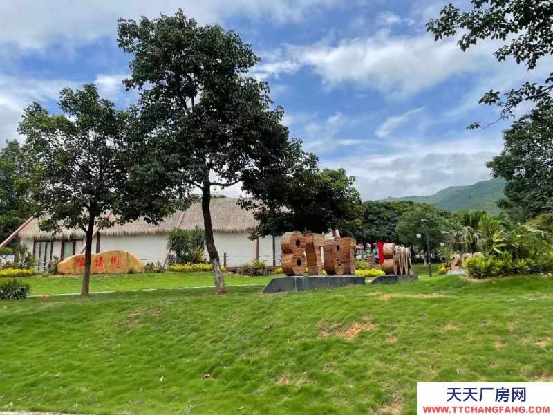 (出租) 梅州蕉嶺全新廠房免租兩年,交通便利位置好,蕉嶺泰然健康產業園適合食品研發醫療行業