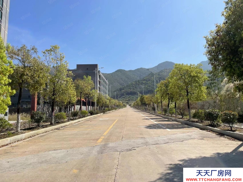 (出租) 梅州蕉嶺全新廠房免租兩年,交通便利位置好,蕉嶺泰然健康產業園適合食品研發醫療行業