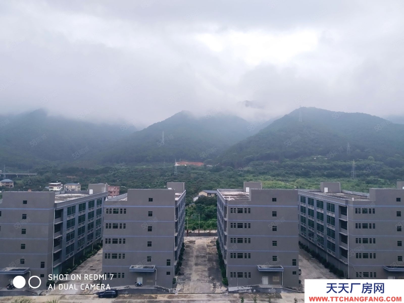 (出租) 梅州蕉嶺高速口廠房物業直租,交通便利位置佳,適合食品研發