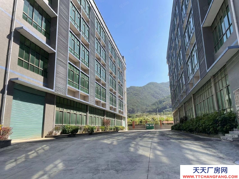 (出租) 梅州蕉嶺高速口廠房物業直租,交通便利位置佳,適合食品研發