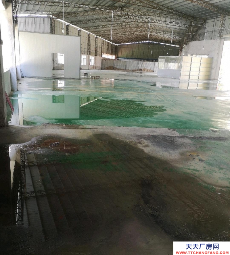 (出租) 梅州興寧洋里附近標(biāo)準(zhǔn)鋼結(jié)構(gòu)配變壓器且大拖頭易進(jìn)出,可做機(jī)械加工