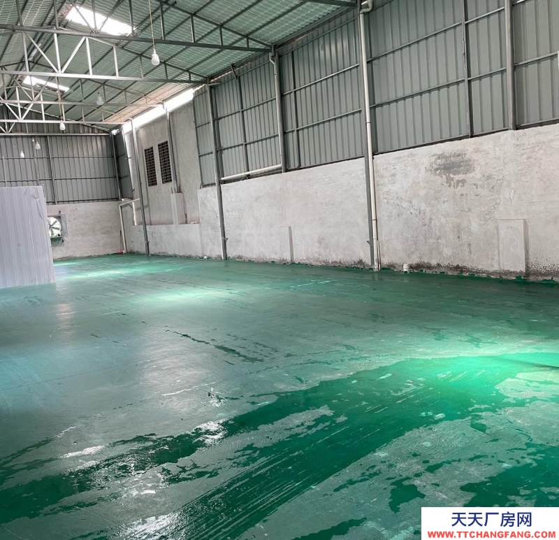 (出租) 梅州興寧市洪溪橋，店面帶倉庫，房東直租！可貨物儲存