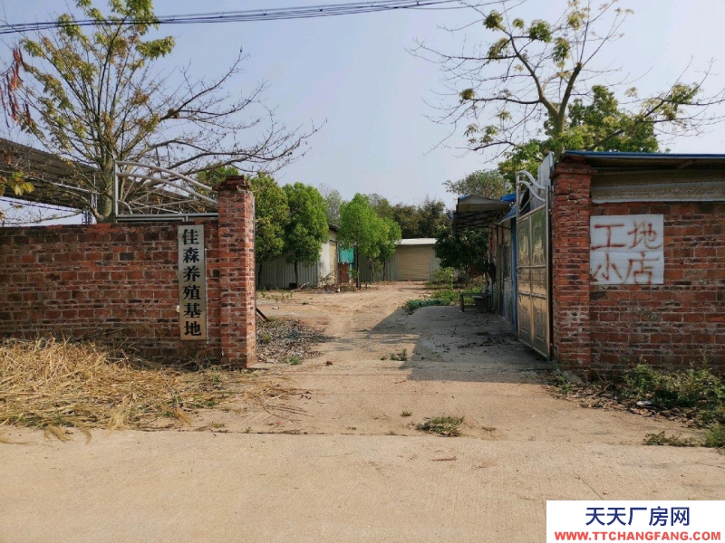 (出租) 梅州興寧四周圍墻，內有空地，水，三相電可做五金機電