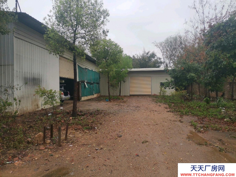 (出租) 梅州興寧四周圍墻，內(nèi)有空地，水，三相電可做五金機電
