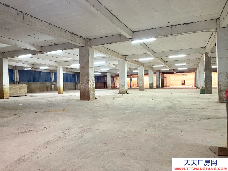 (出租) 梅州梅江環城路五里亭2000平方，標準設備倉庫出租