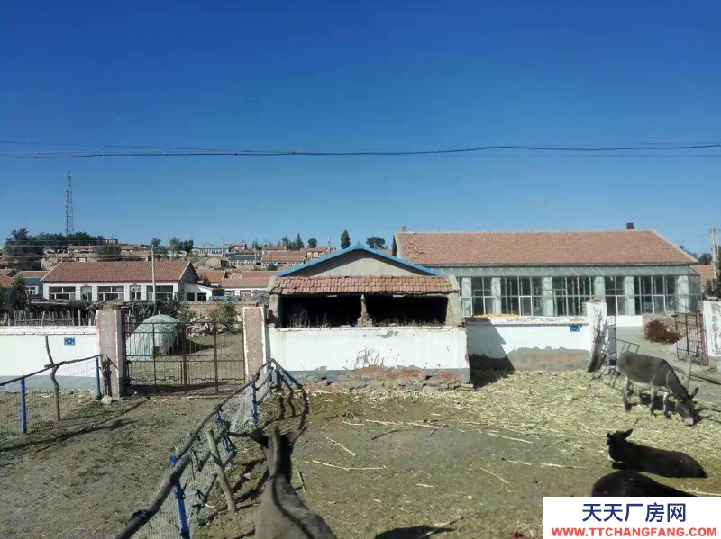 (出售) 賽罕農(nóng)村大院,養(yǎng)殖場(chǎng)自建樓上樓下九間房子,部分已裝修完畢,