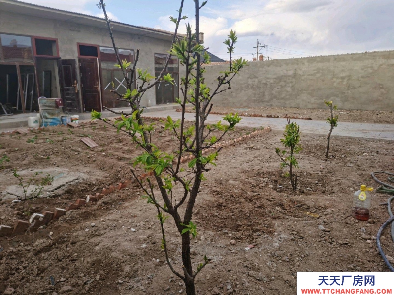 (出售)賽罕蔬菜加工 環境好空氣新鮮院子里可種菜