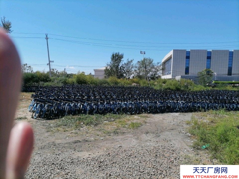 張家口 橋東 茶飲料廠房(出租) 獨院，三相電噪音梢大可接收，場地寬闊