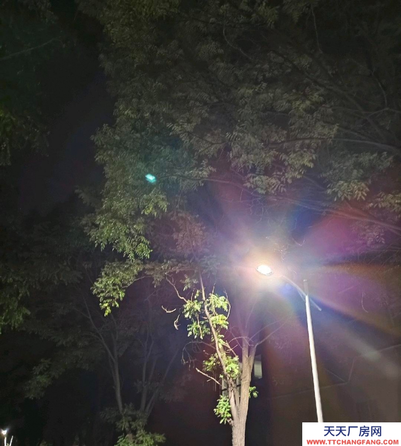 (出租) 新城倉庫低價出租車庫交通方便