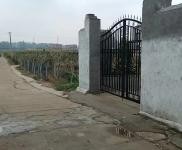 (出租) 周口商水出租民房：東環路東，交通方便