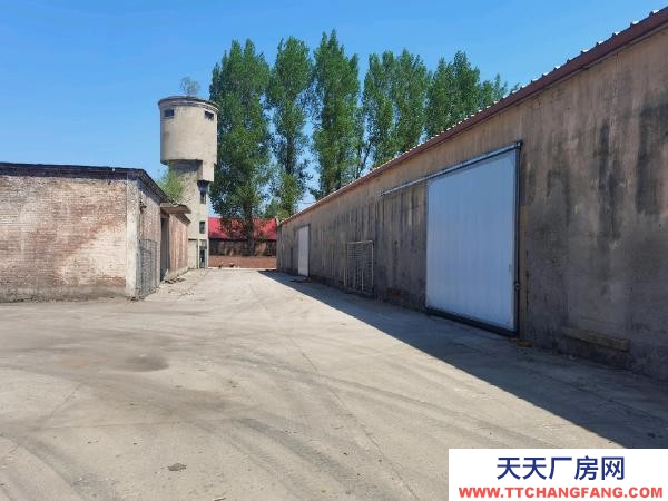 香坊出租庫房21000㎡。場地30000㎡。兩棟辦公樓。