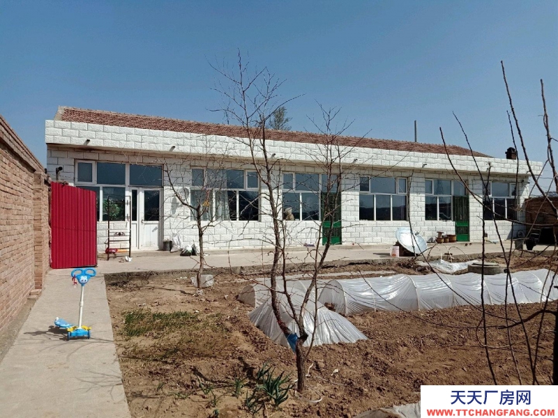 張家口 橋東食醋廠房 (出售) 低價出售一畝院6間房8米入深，南邊彩鋼房，上下水，