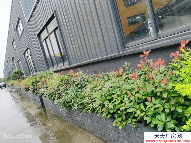 金華市婺城(出租) 超大空間大面積廠房出租 采光好有貨梯停車方便