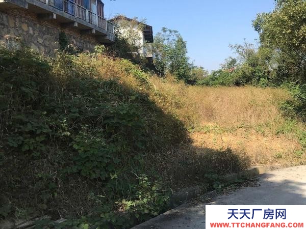 婁底市新化酒廠  廠房面積約2萬平方米