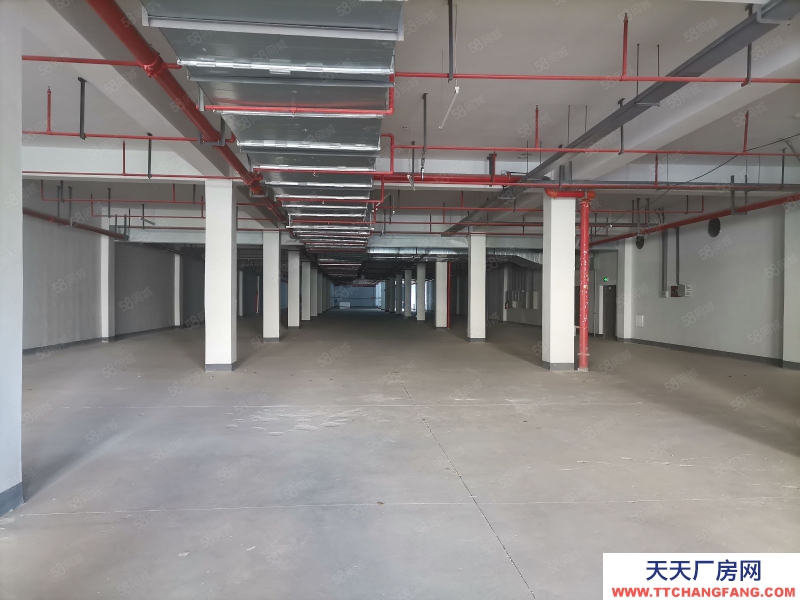 金華市婺城(出租) 全新半地下倉庫通風采光好