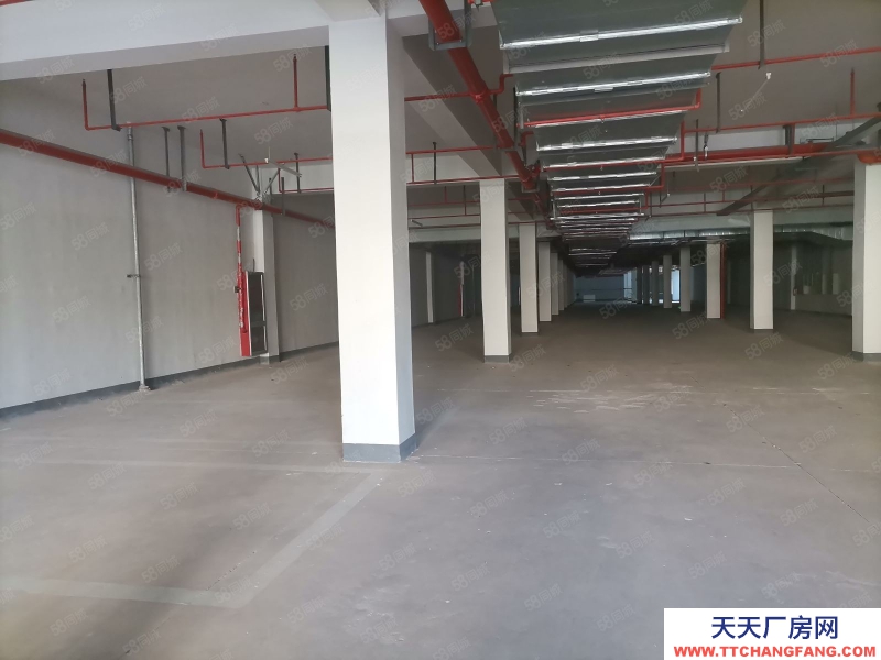 金華市婺城(出租) 全新半地下倉庫通風采光好