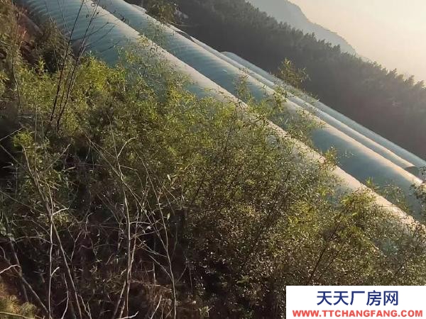 婁底市冷水江養(yǎng)殖廠房 虧本急售。有意者請(qǐng)聯(lián)系我