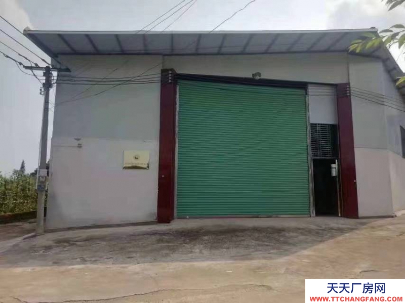 (出租) 梅州興寧底樓350平方、二棚150平水電獨主可電商倉庫