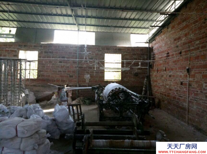 (出租) 梅州興寧寧中鎮(zhèn)新民村新民小學附近 倉庫紡織品倉庫