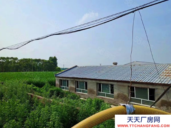 哈爾濱呼蘭區獨門獨院5400米養殖場出租出售，養豬場豬舍租售