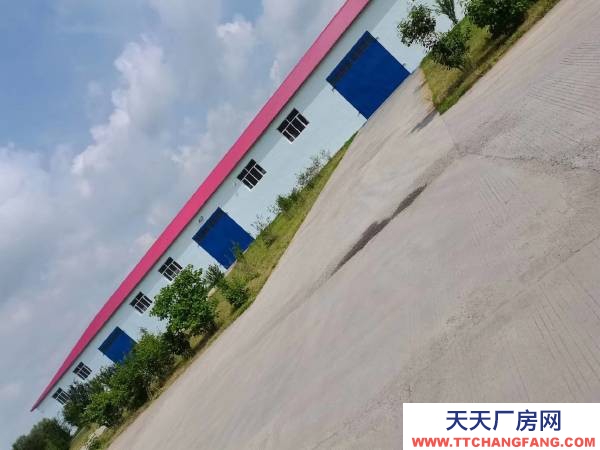 呼蘭區(qū)高速口交通便利調(diào)味品廠房