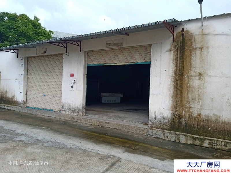 (出租) 汕尾城區自建鐵皮房，水電齊全交通方便，停車方便電商倉庫