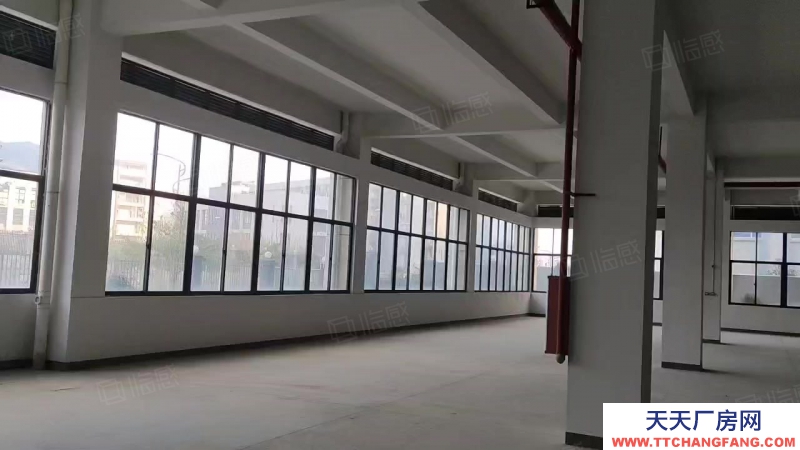 (出租) 汕尾海豐深汕合作區管委會大型倉庫， 叉車可進出，大型樓庫倉庫