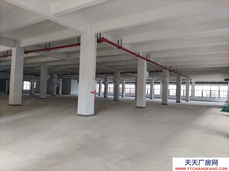 (出租) 汕尾海豐深汕合作區(qū)管委會大型倉庫， 叉車可進出，大型樓庫倉庫