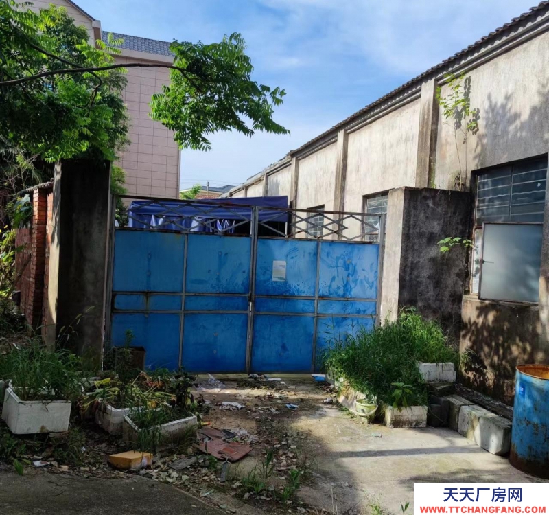 金華市金東(出租) 出租沿路330國道和二環(huán)線交匯處廠房400平