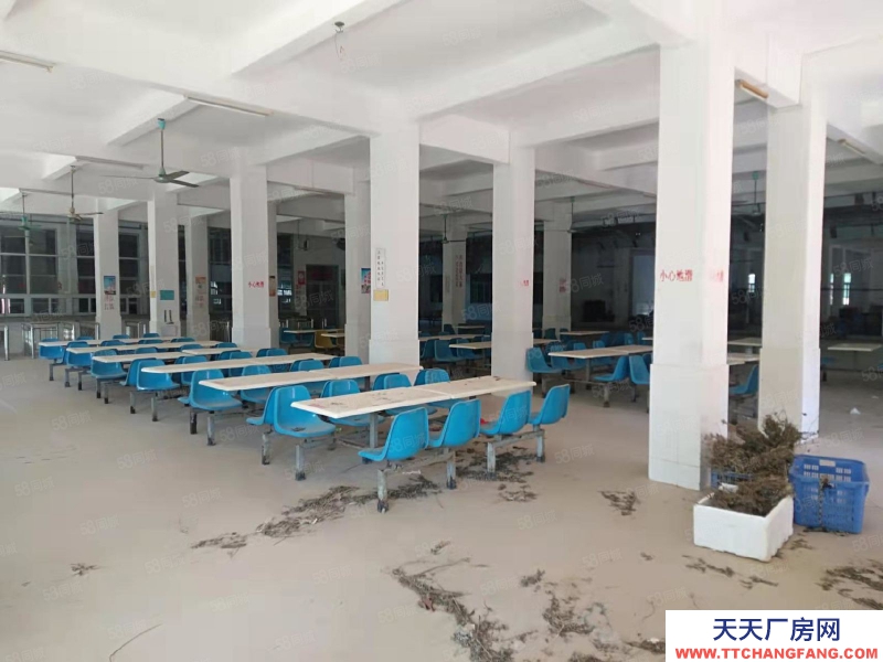 (出租) 汕尾城區(qū)標(biāo)準(zhǔn)廠房建筑物2萬平方，食堂，宿舍，總場地9萬平方可做學(xué)校、物流