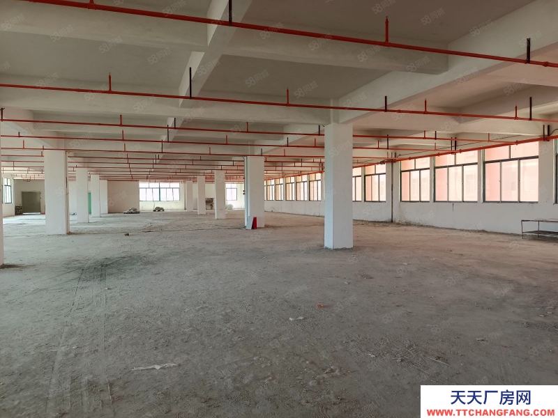 (出租) 汕尾城區標準廠房建筑物2萬平方，食堂，宿舍，總場地9萬平方可做學校、物流