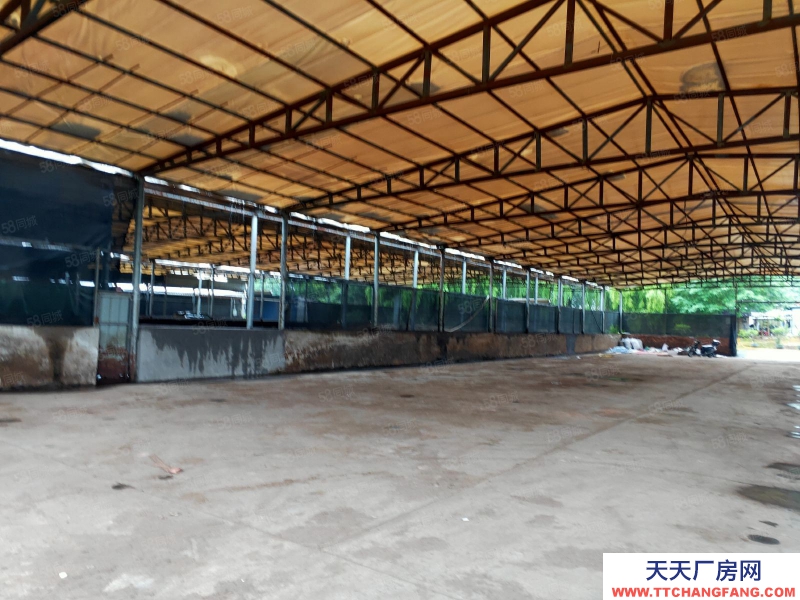 金華市金東(出租) 出租上海財經(jīng)大學(xué)大學(xué)旁倉庫，出入方便