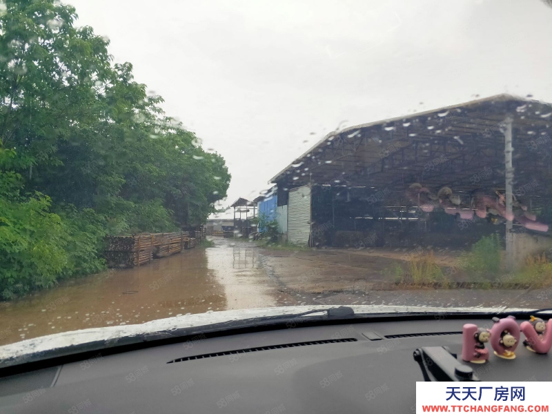 金華市金東(出租) 出租上海財經(jīng)大學(xué)大學(xué)旁倉庫，出入方便