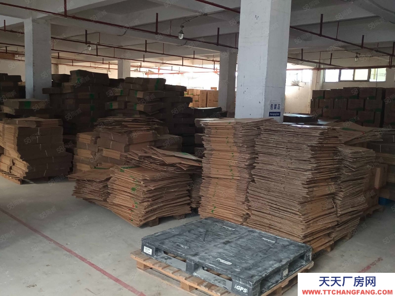 (出租) 汕尾城區埔邊附近全新獨院廠房！五層11000平方 可做電子、服裝