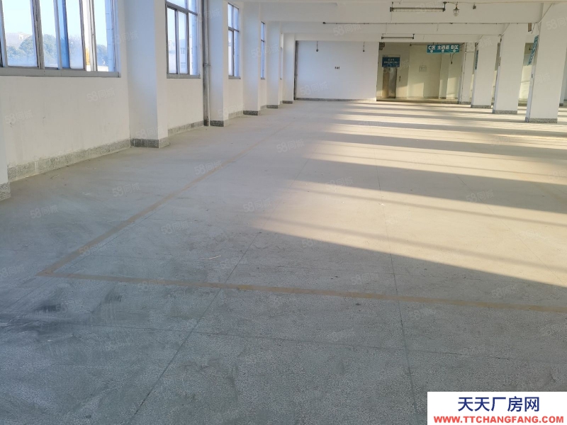 (出租) 汕尾城區(qū)東涌附近廠房3000平方一層1100平可分層租，可做培訓(xùn)機(jī)構(gòu)