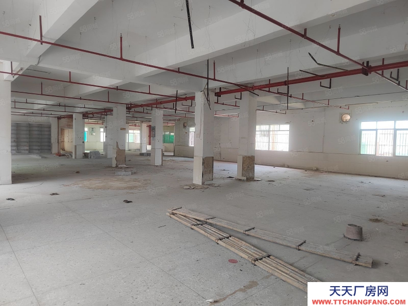 (出租) 汕尾海豐廠房出租 寫字樓招租可分租 帶貨梯 鋪面 大貨車可進(jìn)入可做電商